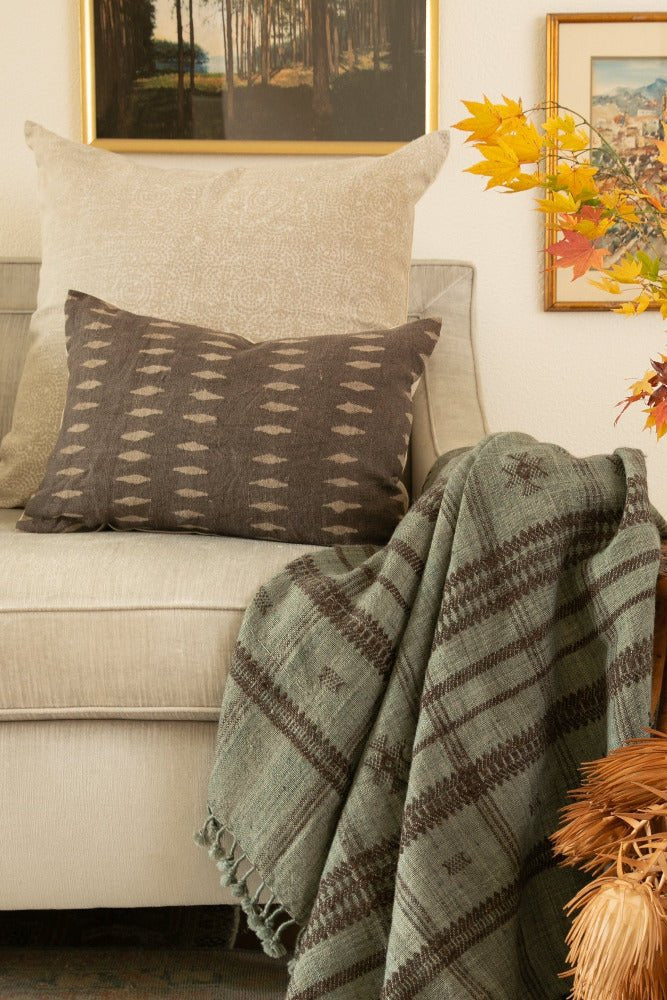Cozy living room with a beige sofa, patterned cushions, and a decorative blanket.
