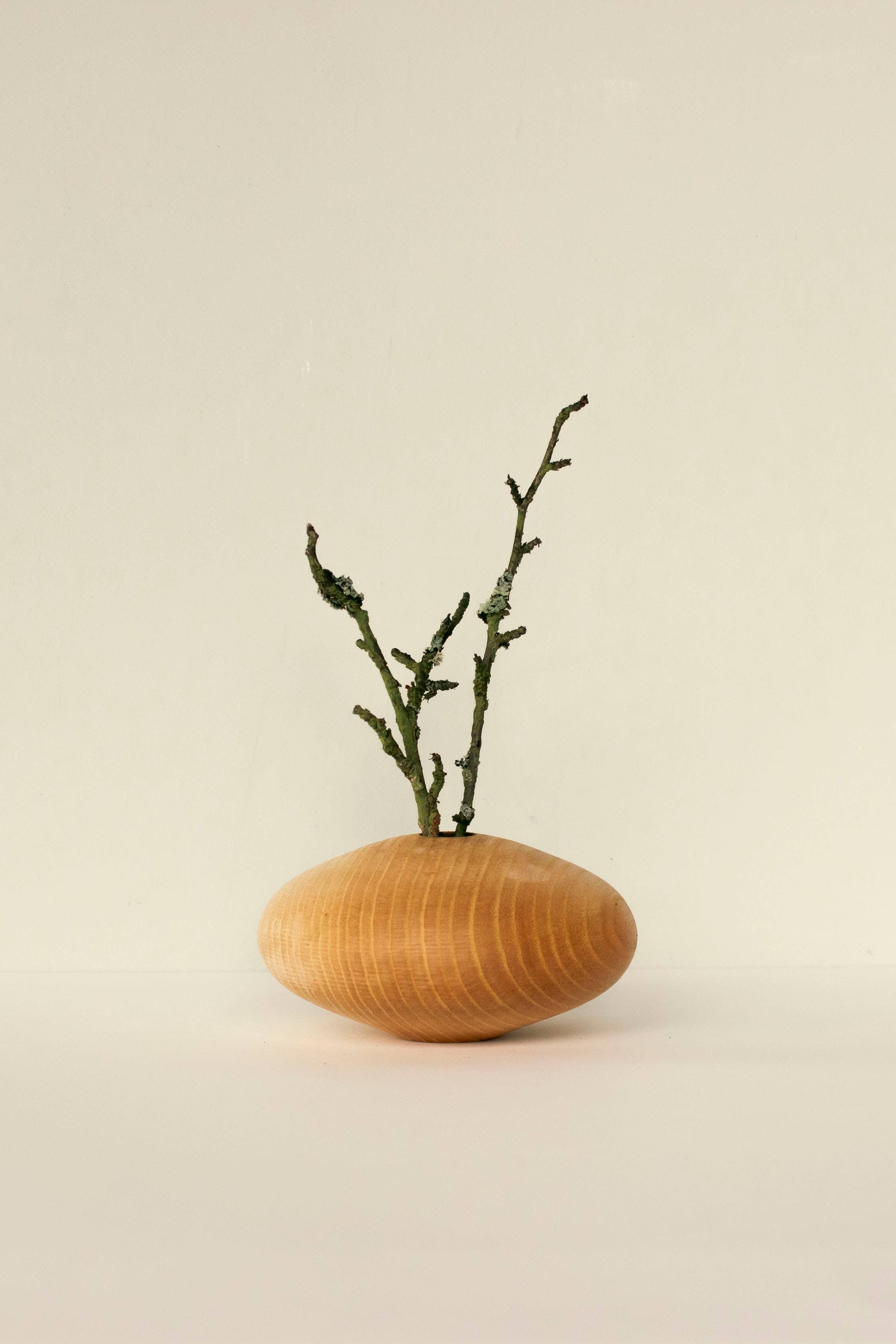 Wooden vase with branches on a beige background