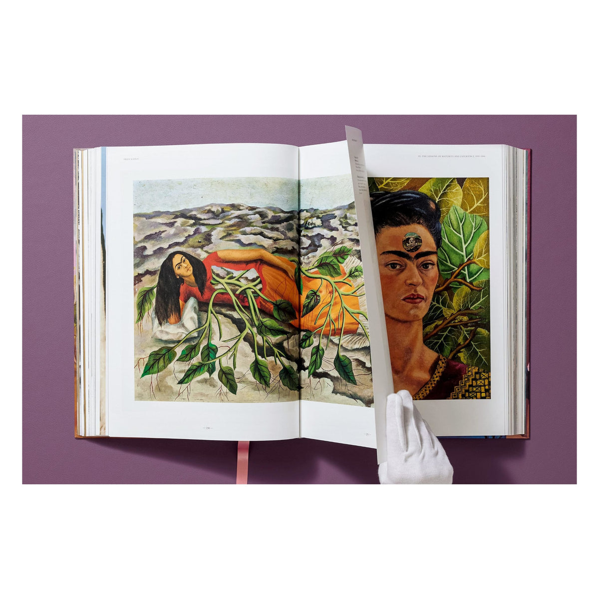 Frida Kahlo. The Complete Paintings (English) | Oversized Book