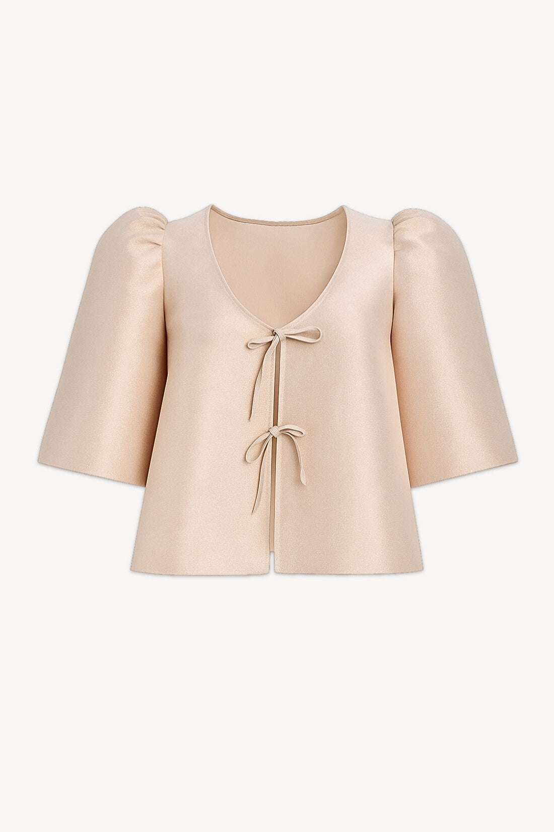 Agnes Golden Glitter Organza Silk Blouse