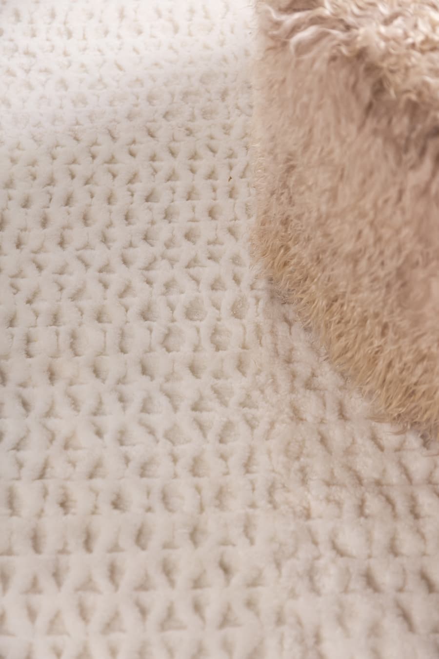 AMANDA | Sculpted Natural Rug