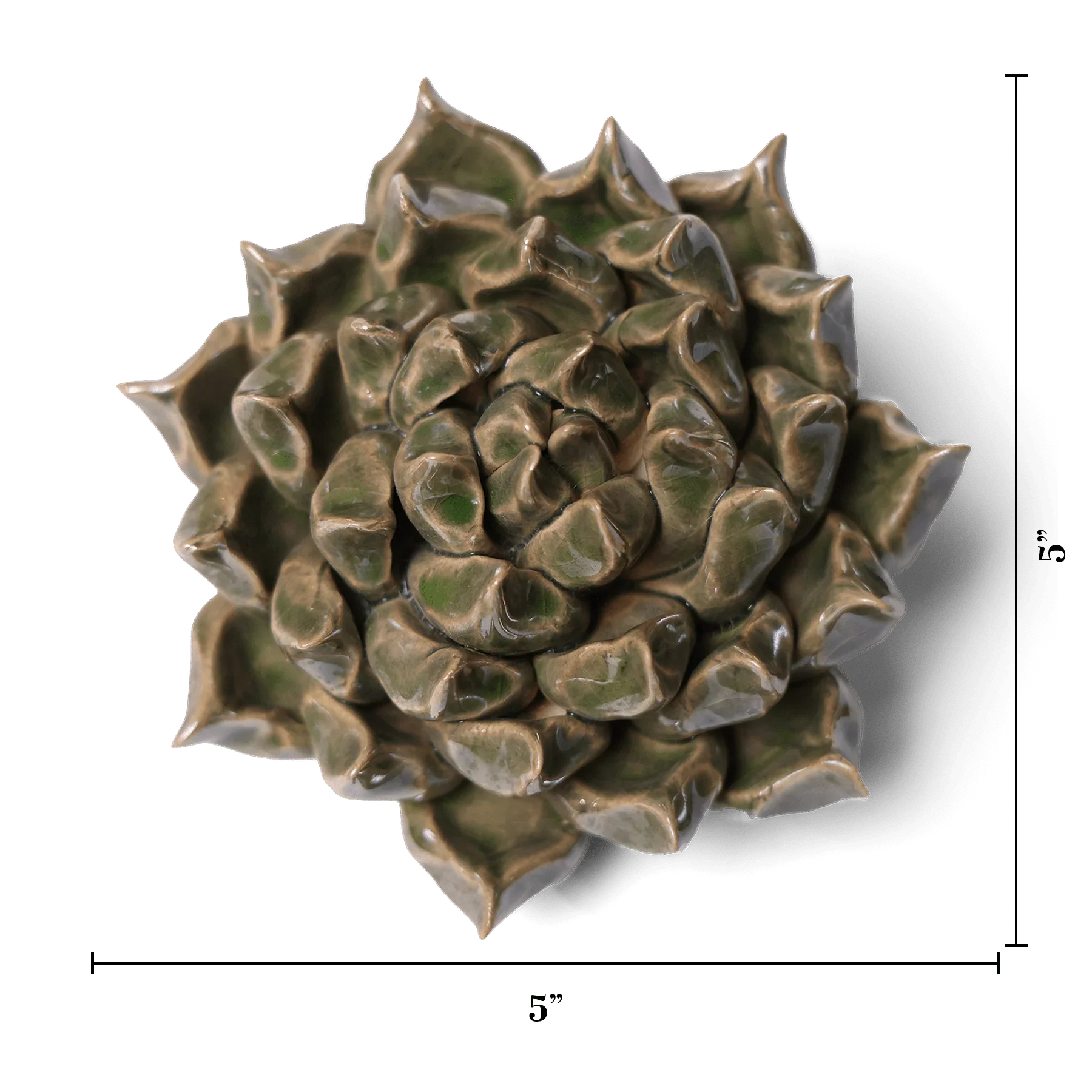 Ceramic Flower Wall Art | Succulent Green