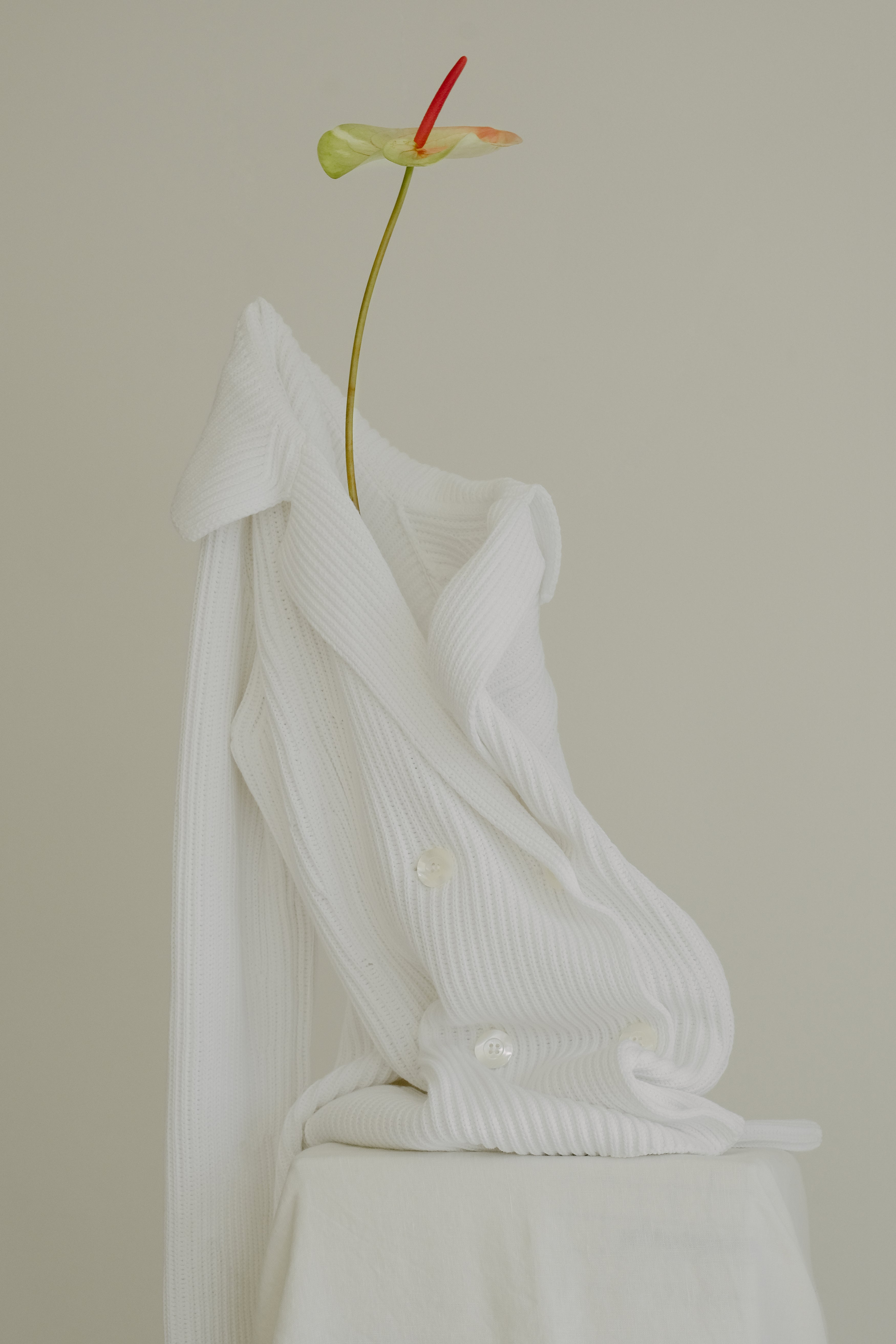 White ribbed sweater with a single red flower on a neutral background
