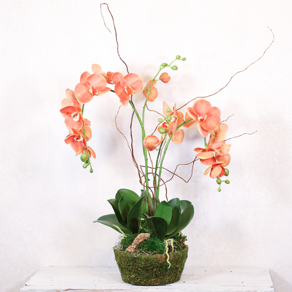 A potted artificial orchid arrangement with coral-orange flowers, green leaves, and long thin brown stems, displayed in a moss-covered round pot on a white surface against a white wall.