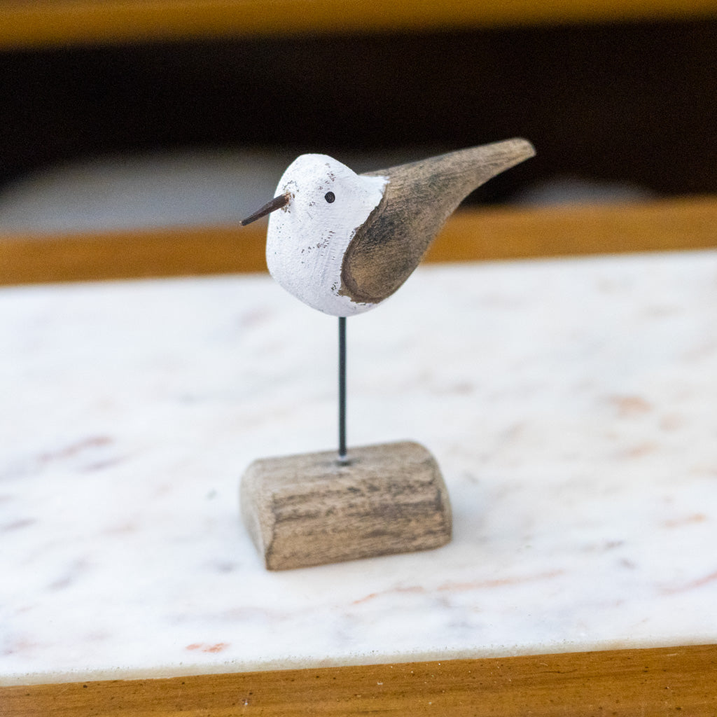 Seagull on Driftwood