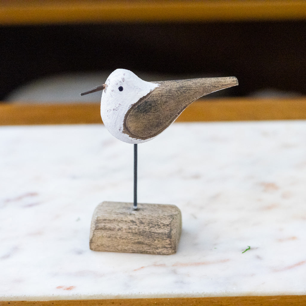 Seagull on Driftwood