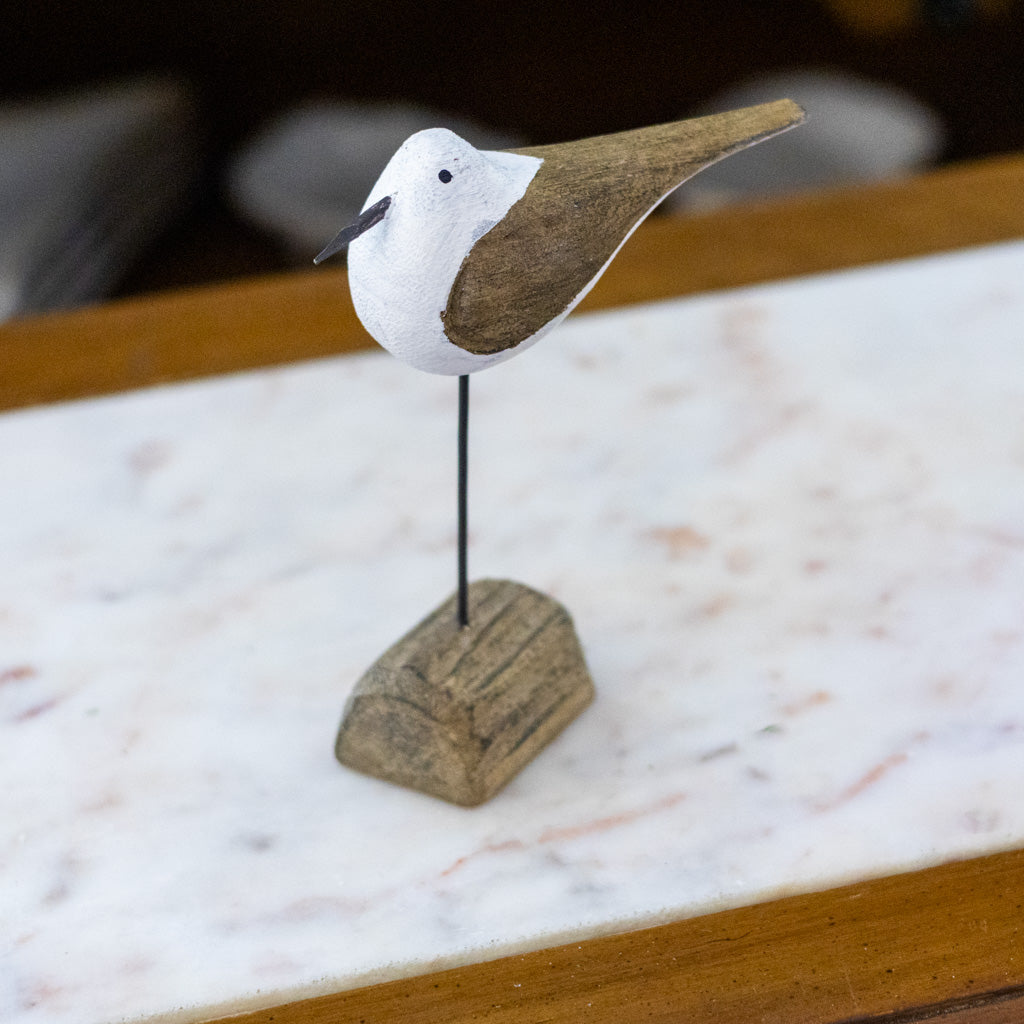 Seagull on Driftwood