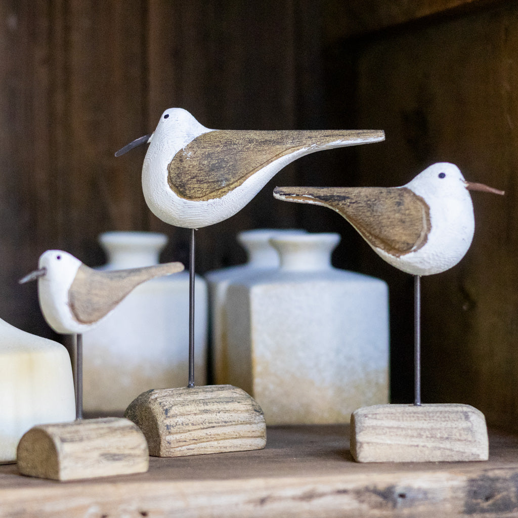 Seagull on Driftwood