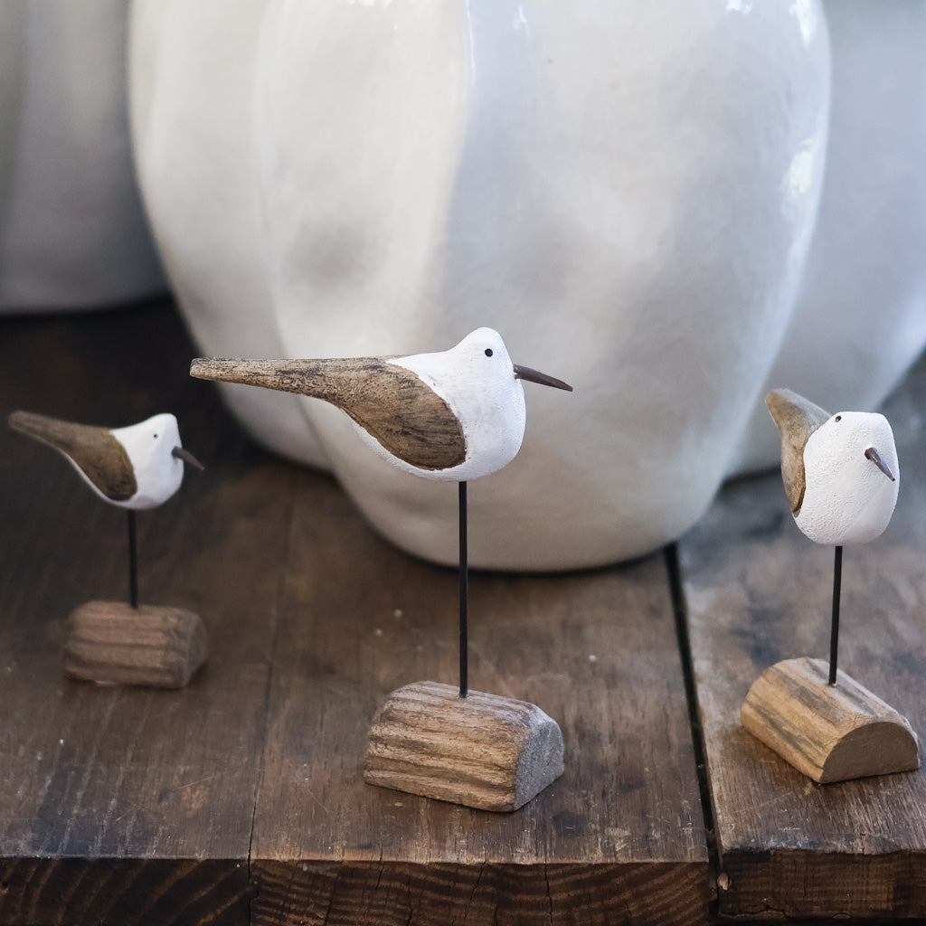 Seagull on Driftwood
