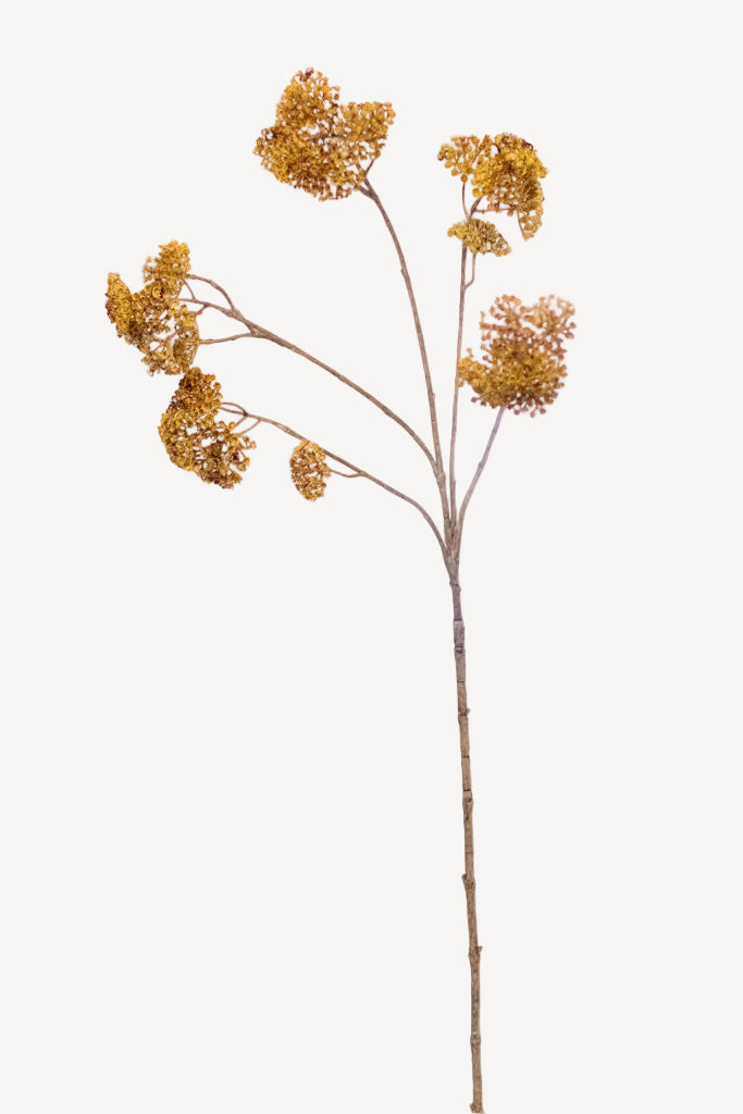 A single dried decorative branch with multiple small clustered golden-brown flower heads on a thin brown stem, photographed against a plain white background.