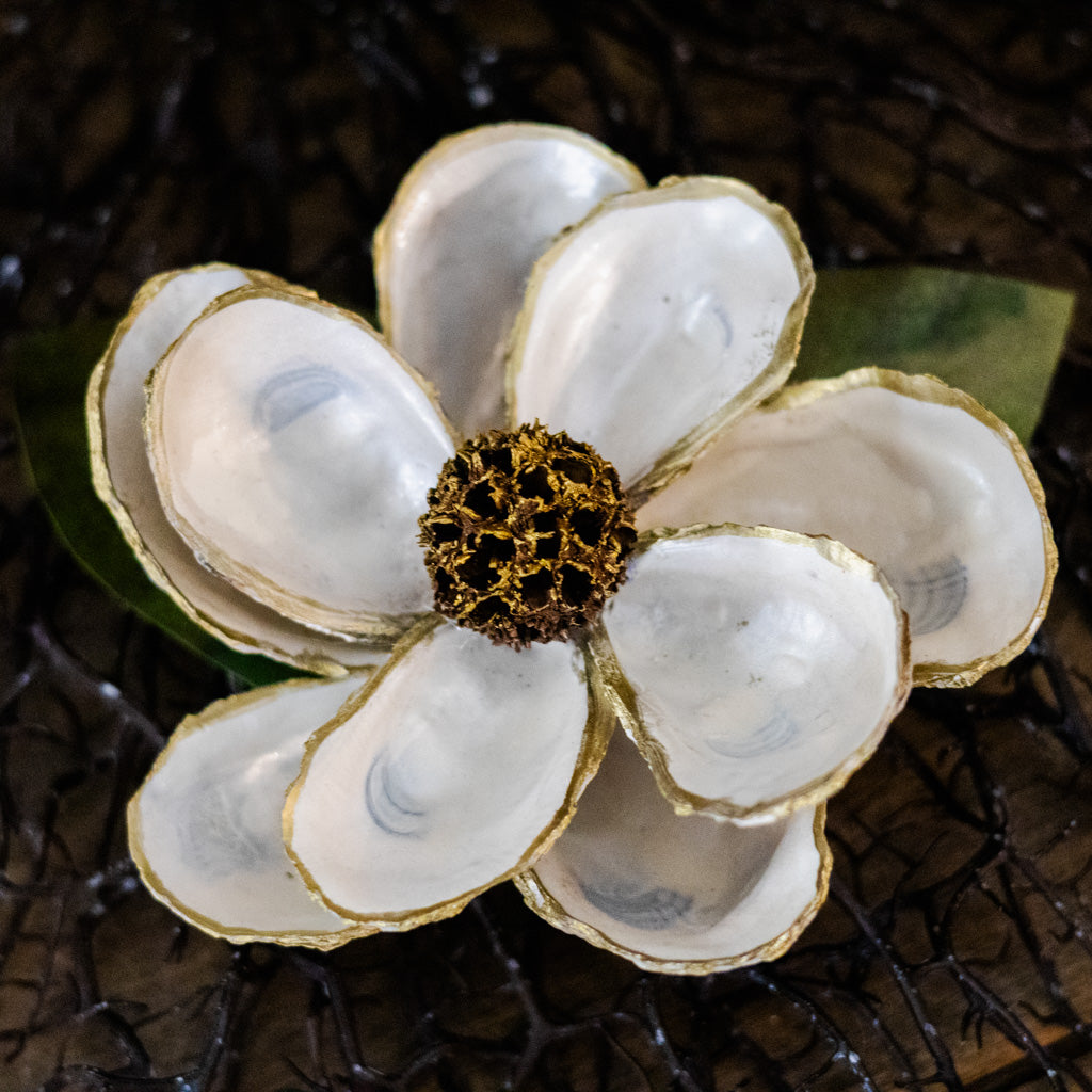 White Oyster Shell Magnolia Flower in Gift Box