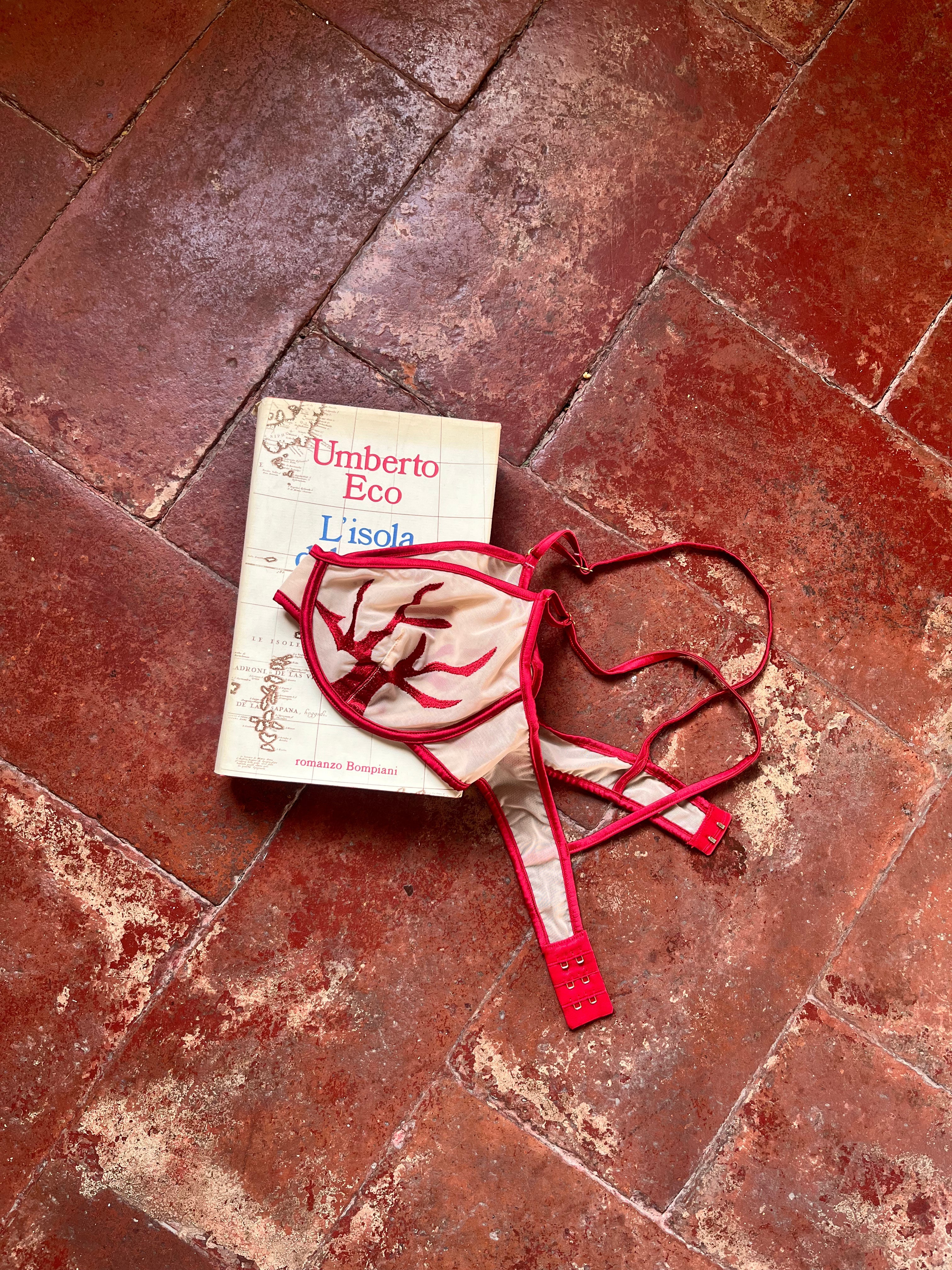 Beige bra with red coral design details and red straps over a book titled, "Umberto Eco" on tile flooring
