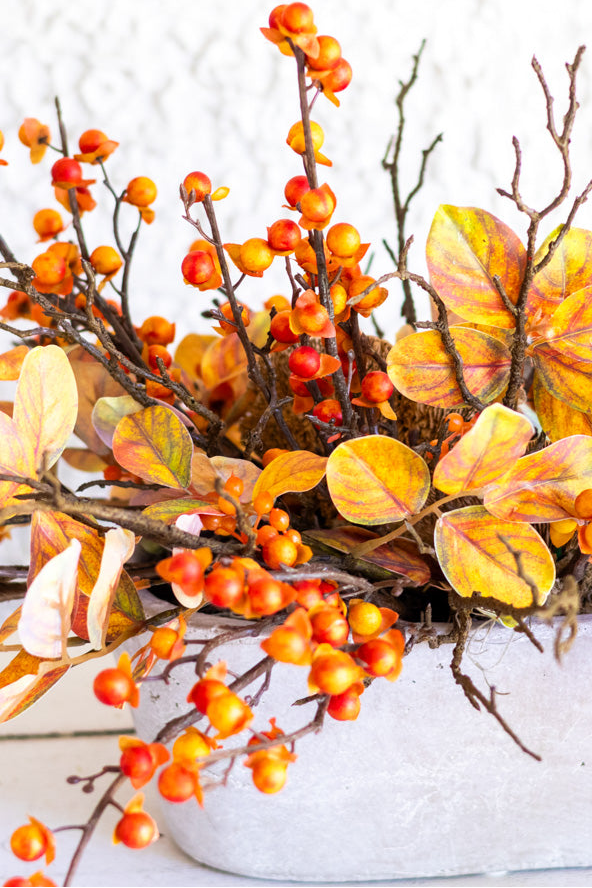 Bittersweet Centerpiece Drop In