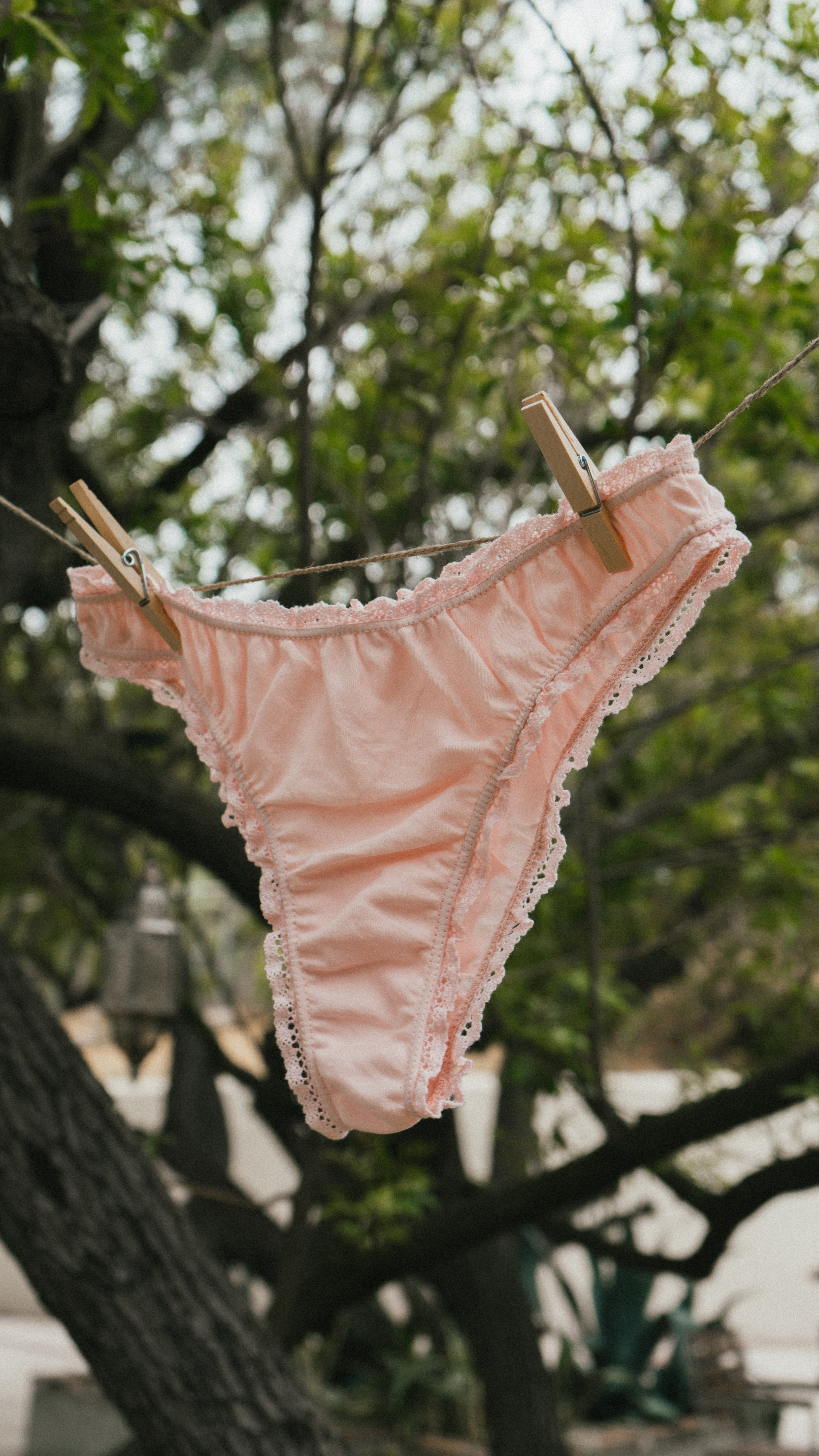 Pink lace underwear hanging on a clothesline with trees in the background