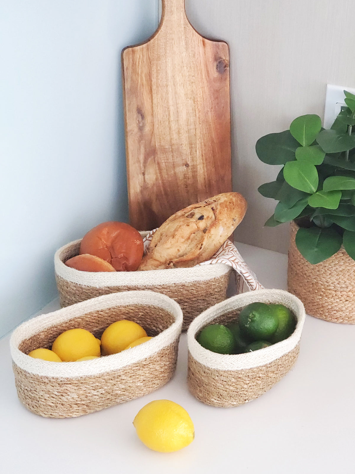 Savar Oval Bowl | Set of 3