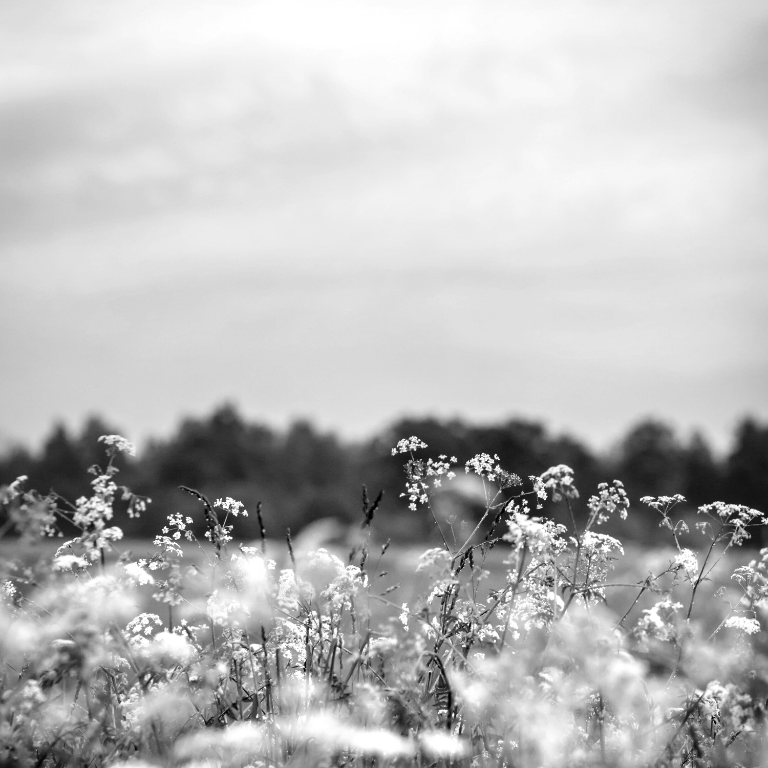 Sleepy Sheets Pillow Mist 100ml