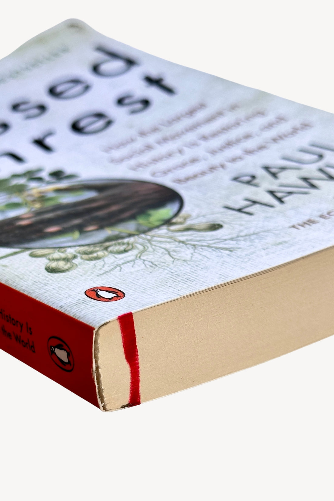 Blessed Unrest: Restoring Grace, Justice, and Beauty