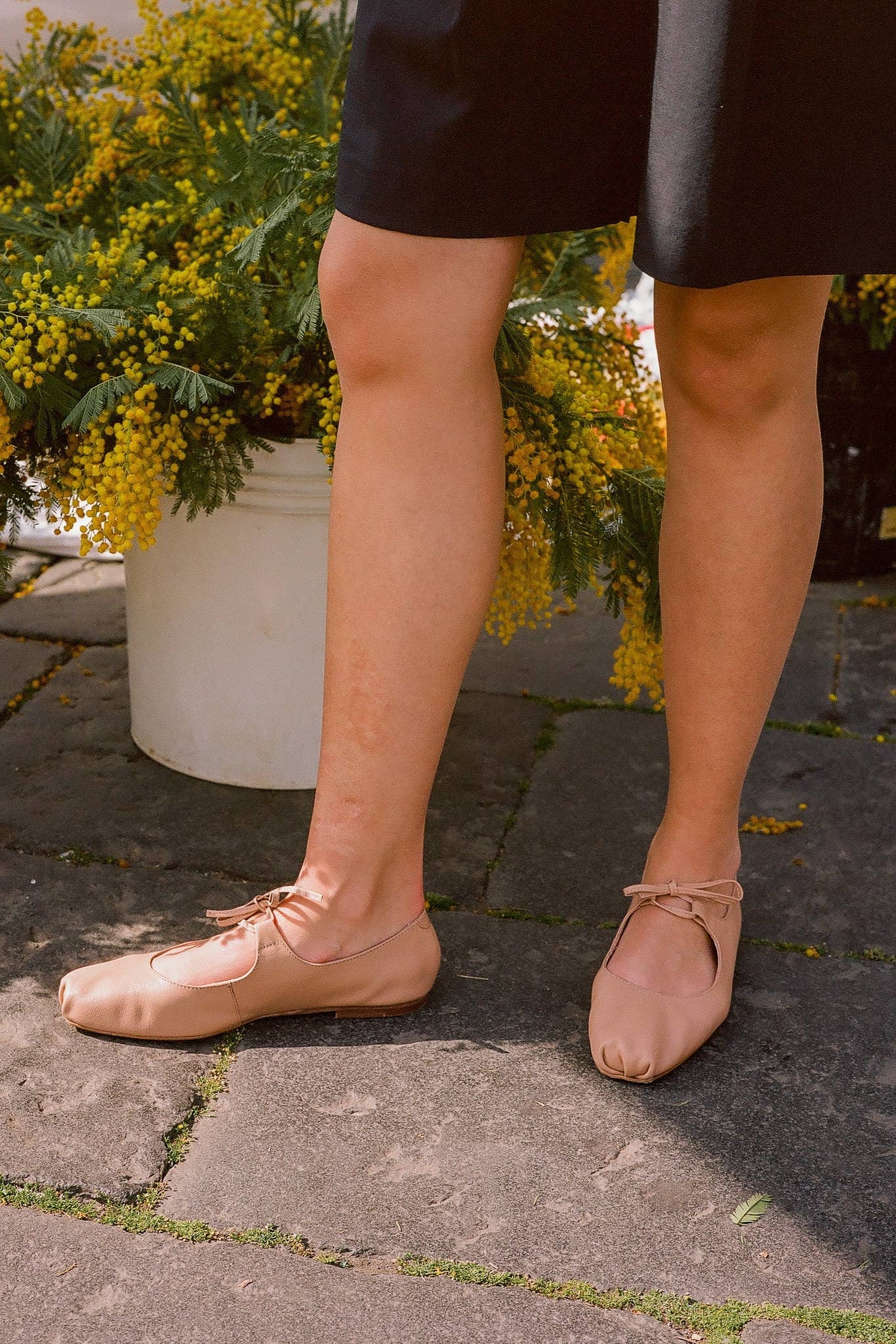 Person wearing pink ballet flats standing on a stone path with yellow flowers in the background