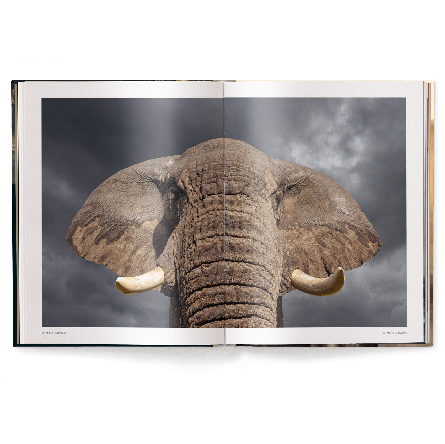 Mother: A Tribute to Mother Earth