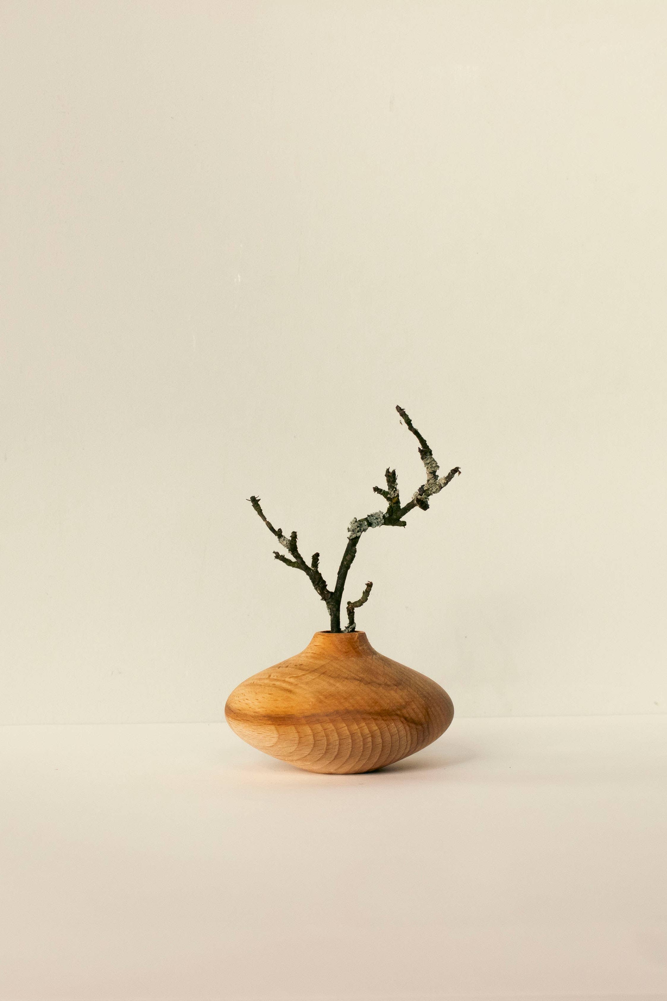Wooden vase with a branch on a beige background