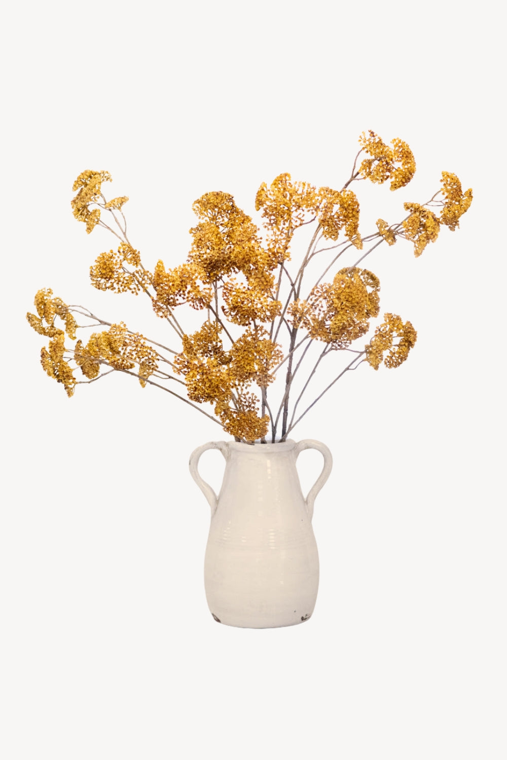 Achillea Spray Mustard
