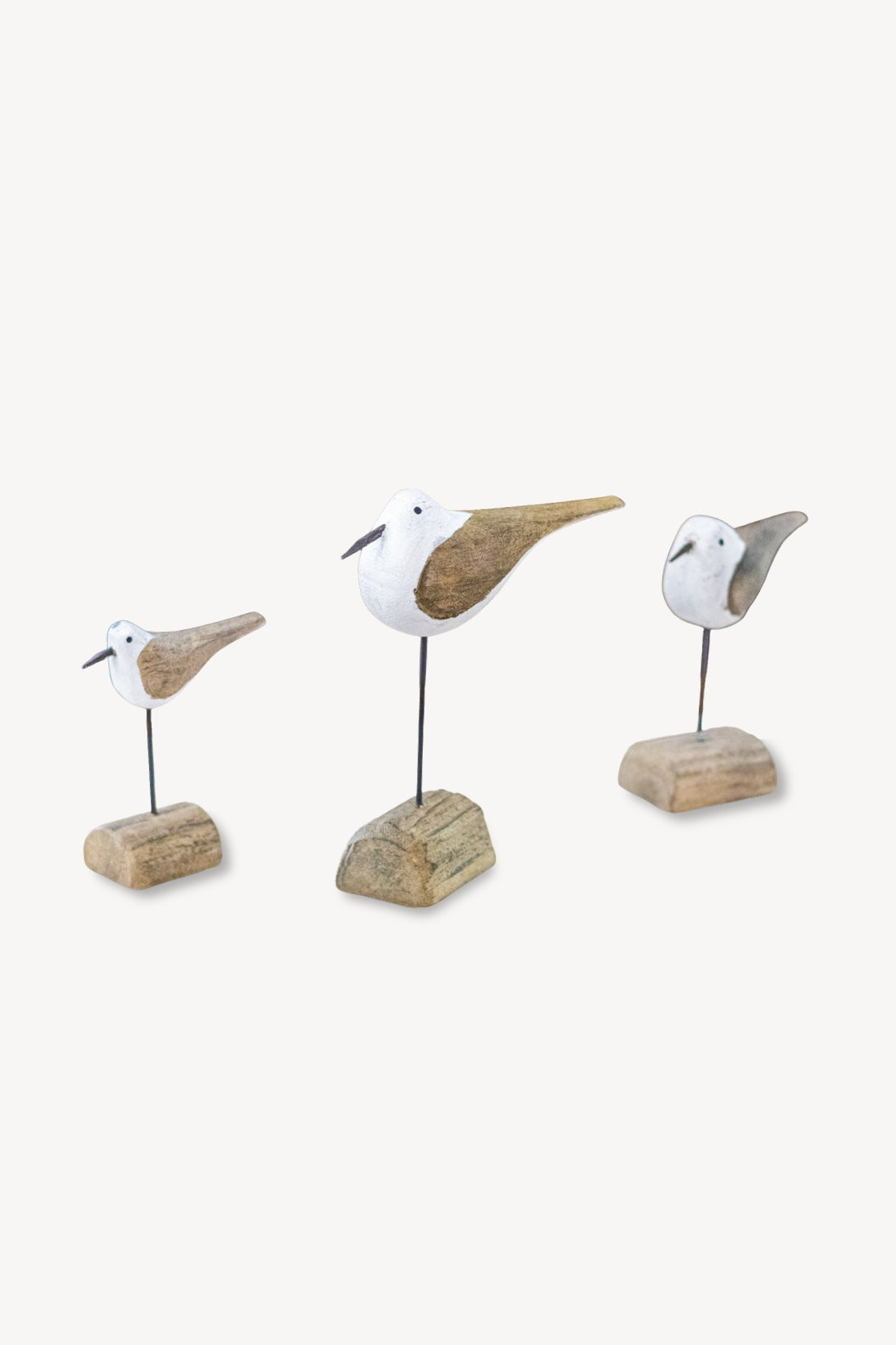 Seagull on Driftwood