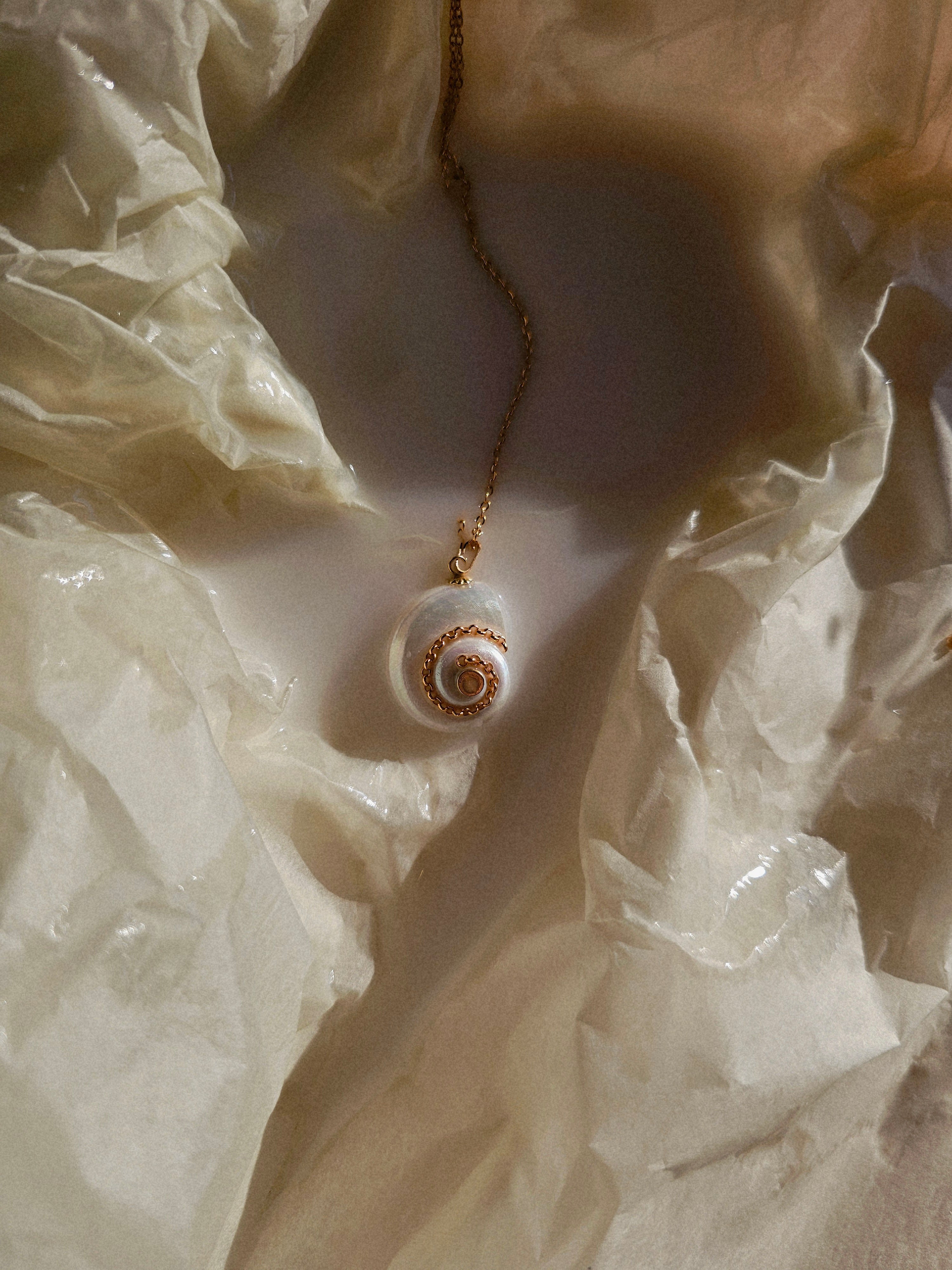 Celestial Shell Necklace
