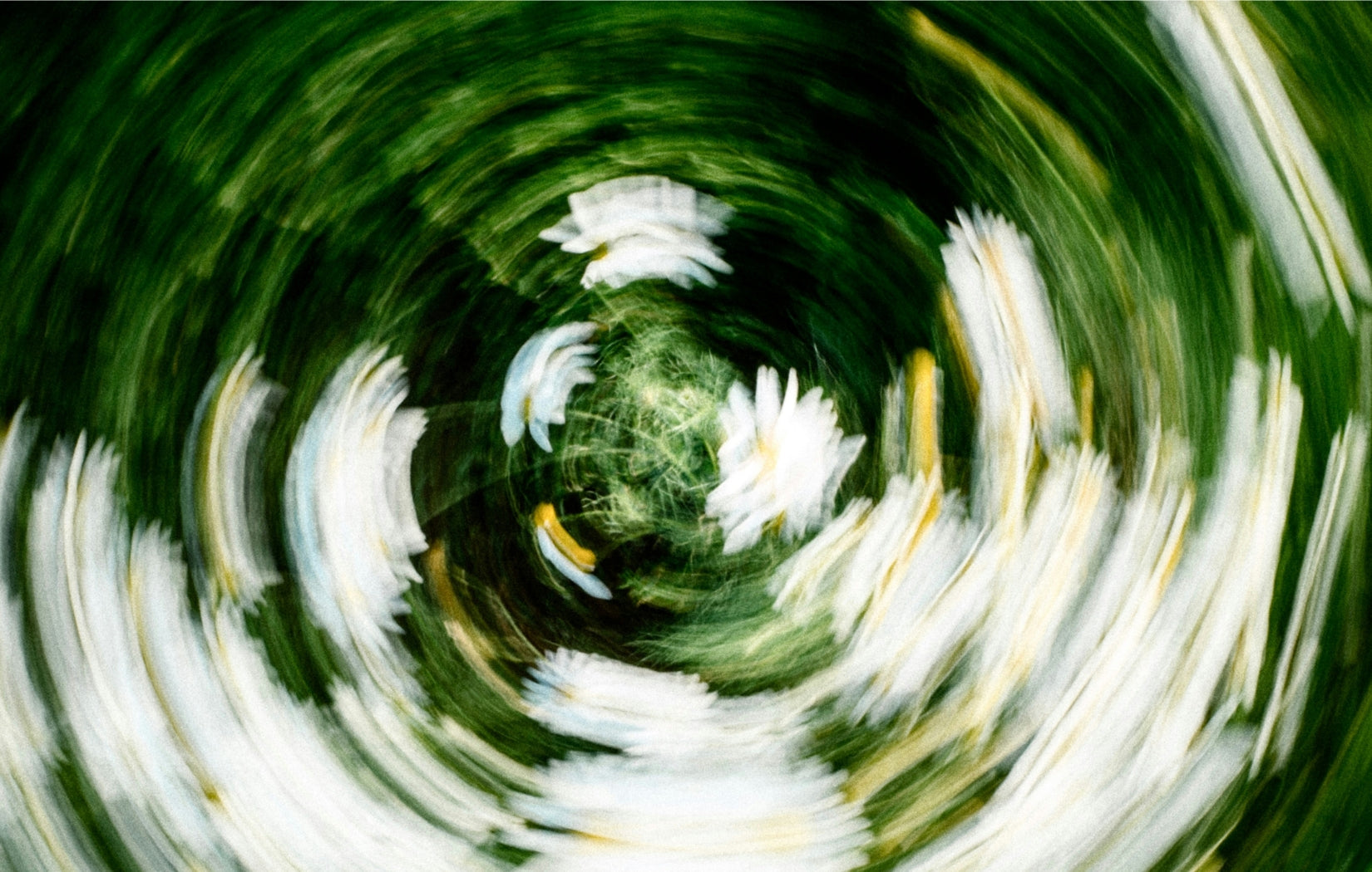 Greener Ways to Do Laundry