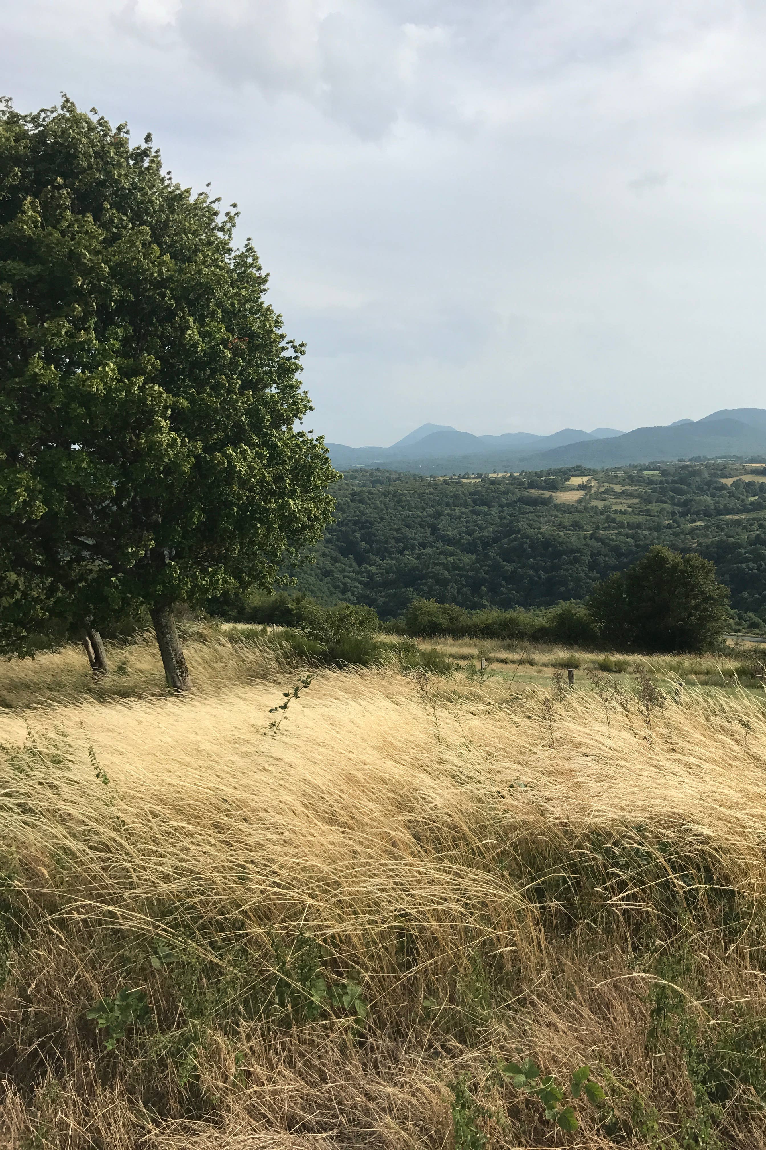 Montaclier FRENCH COUNTRY