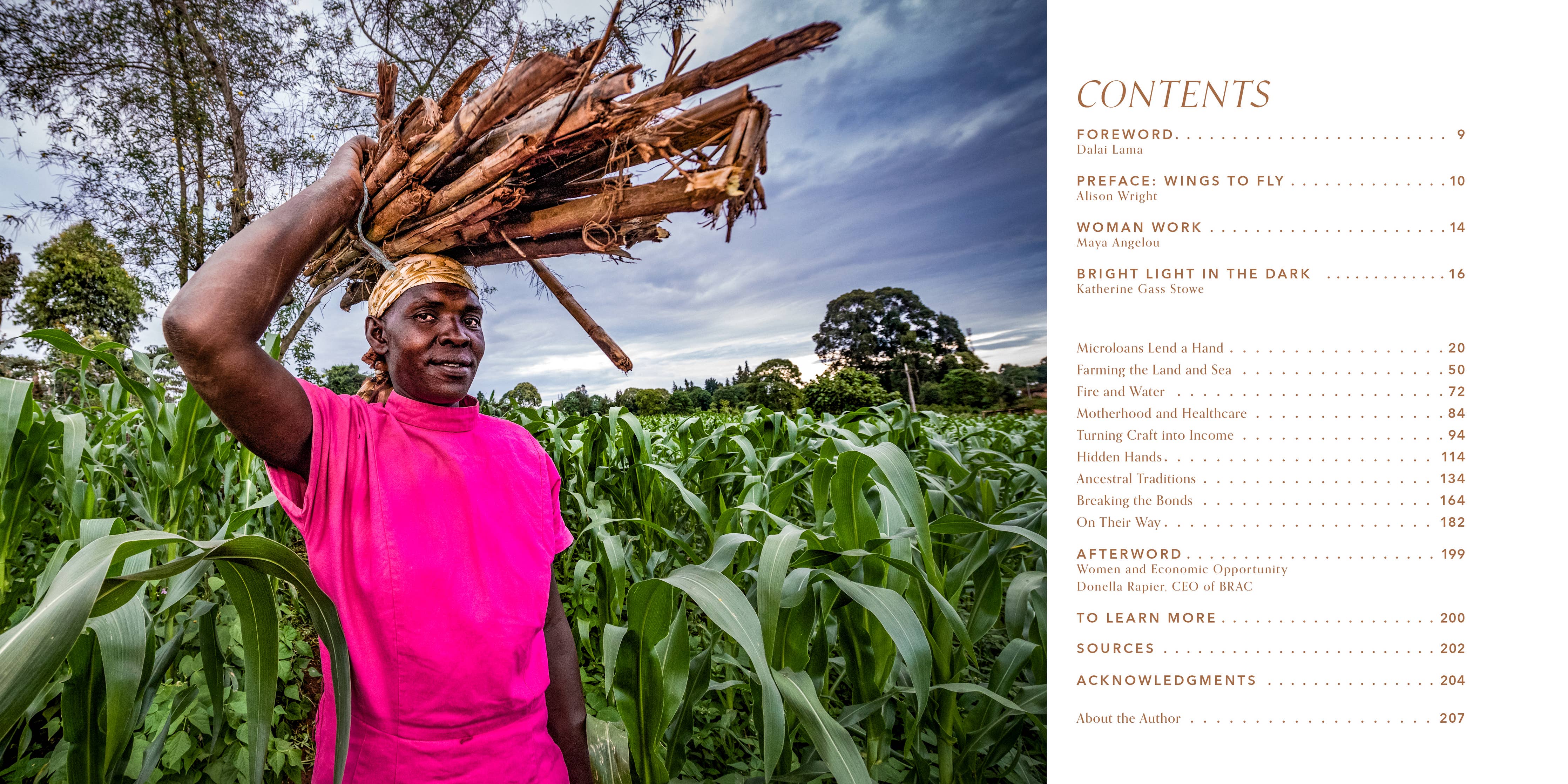 Grit and Grace: Women at Work in the Emerging World