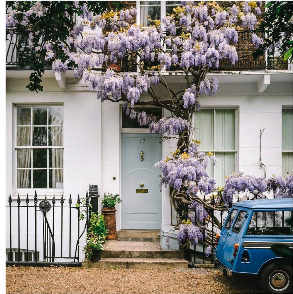 Prettycitylondon (Paperback)