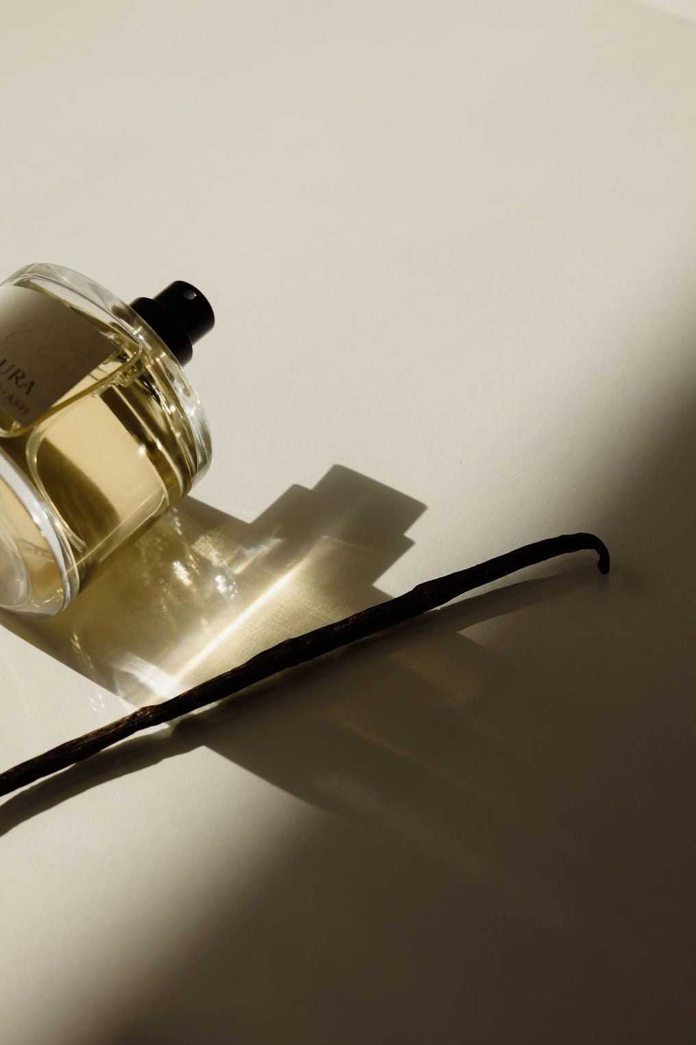 Vanilla pod next to a glass bottle of vanilla extract on a beige background