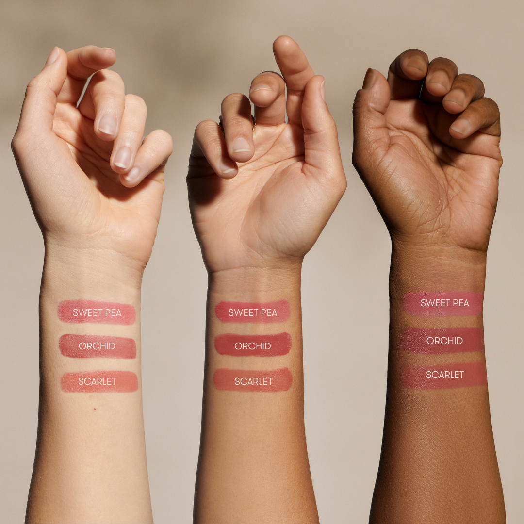 Cream Blush | Orchid