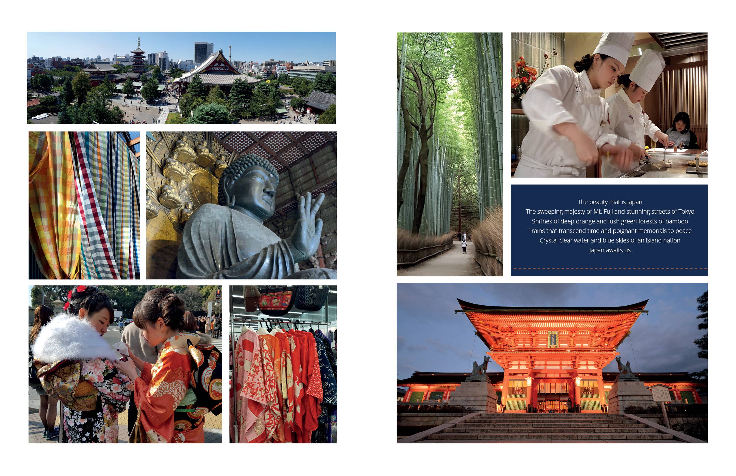 Cotton & Indigo from Japan