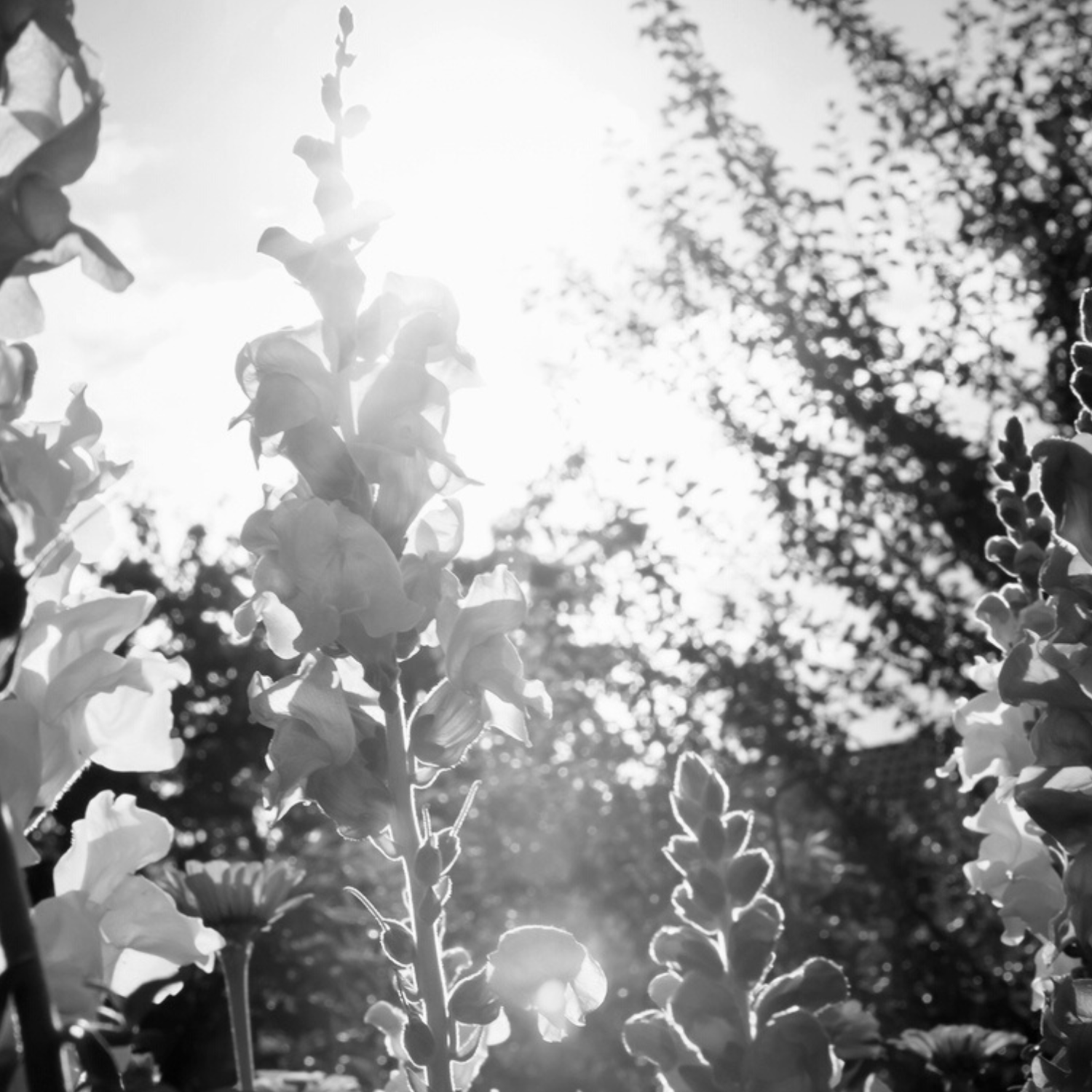 Courage Eau De Parfum 9ml Rollerball