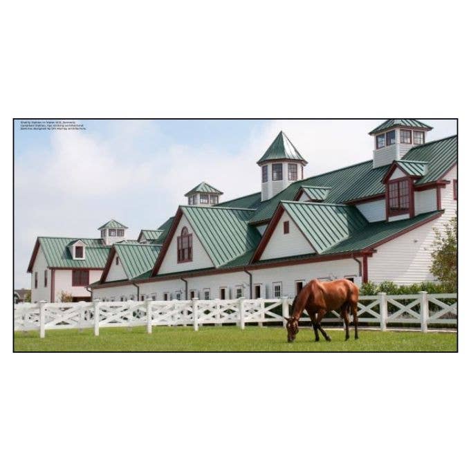 Equestrian Life in the Hamptons