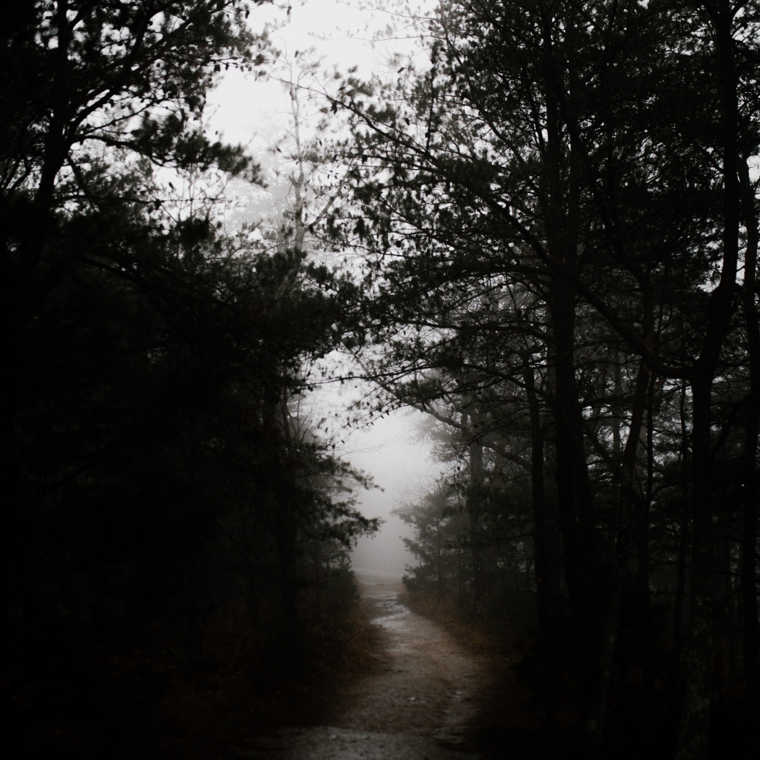 Solitude Eau De Parfum 30ml