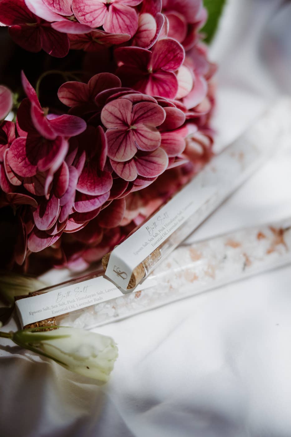 Close-up of pink flowers with a white ribbon on a blurred background