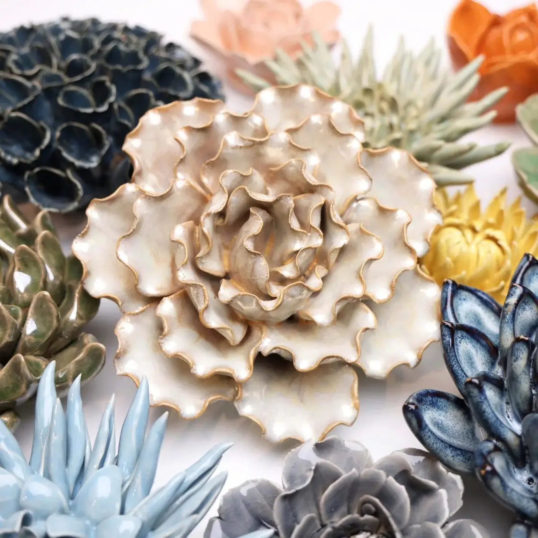 Collection of ceramic succulents in various colors on a white background