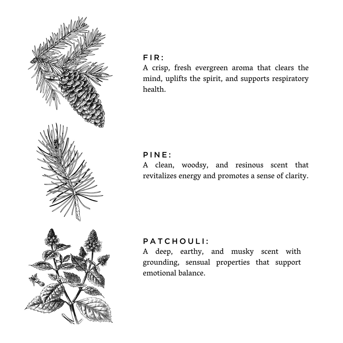 Laundry Powder | Forest Bathing