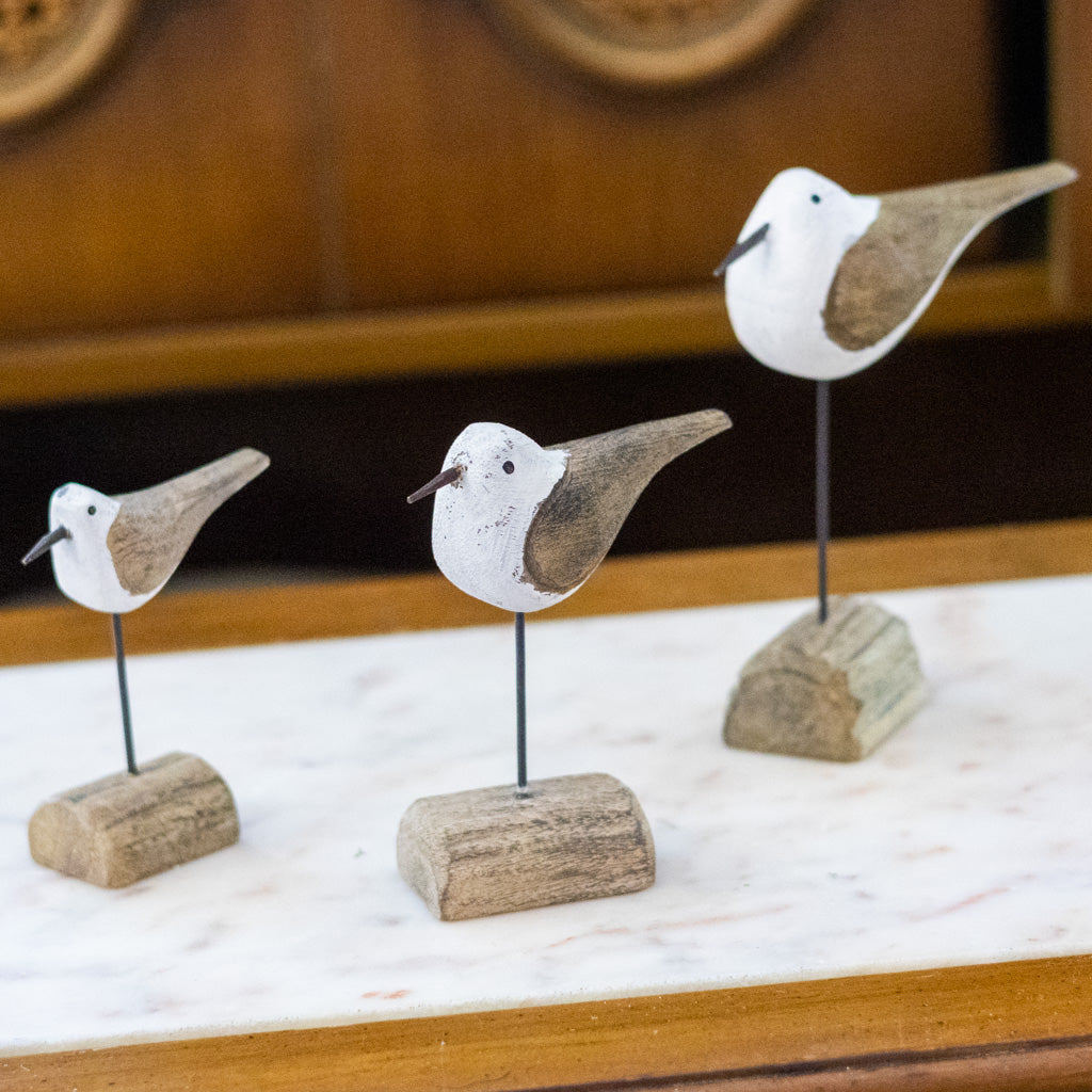 Seagull on Driftwood