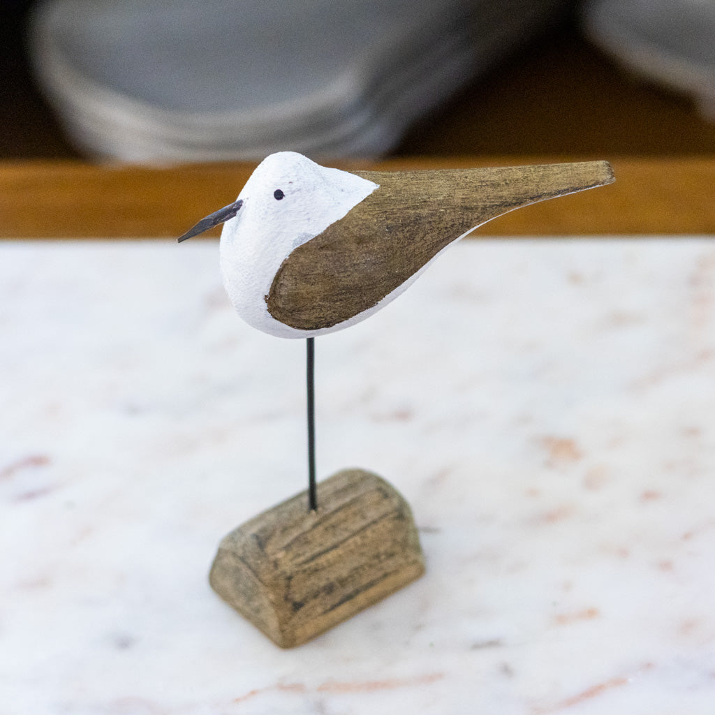Seagull on Driftwood