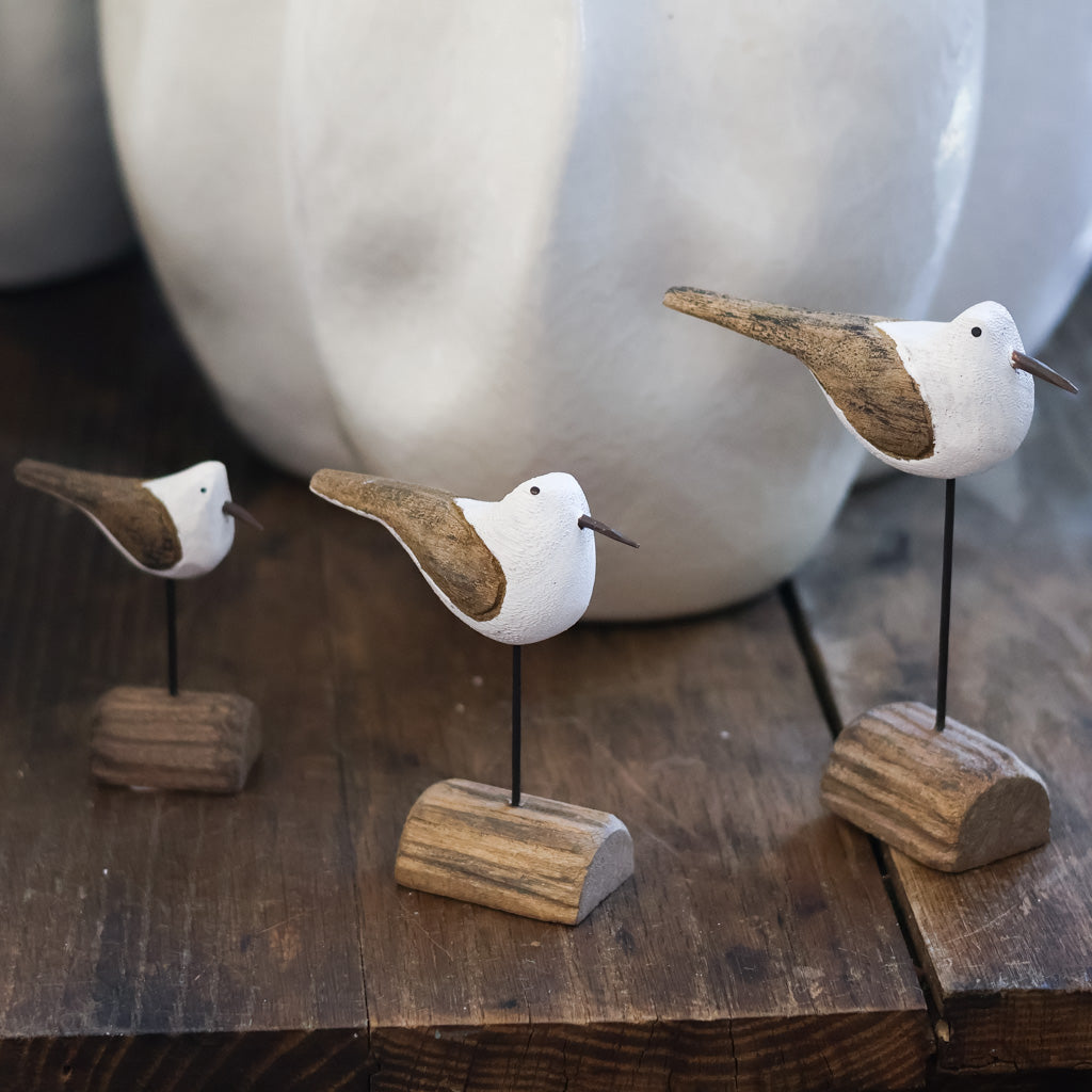Seagull on Driftwood