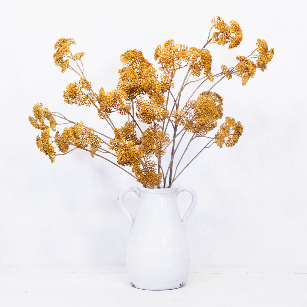 Dried yellow flowers arranged in a white ceramic pitcher vase against a plain white background.