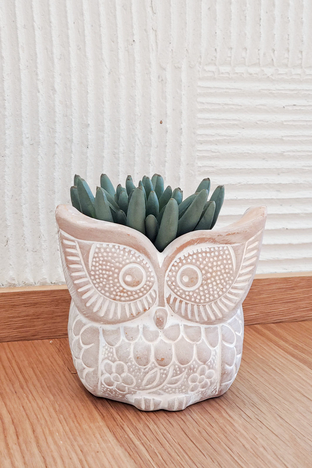 Terracotta Pot - Big Eye Owl-1