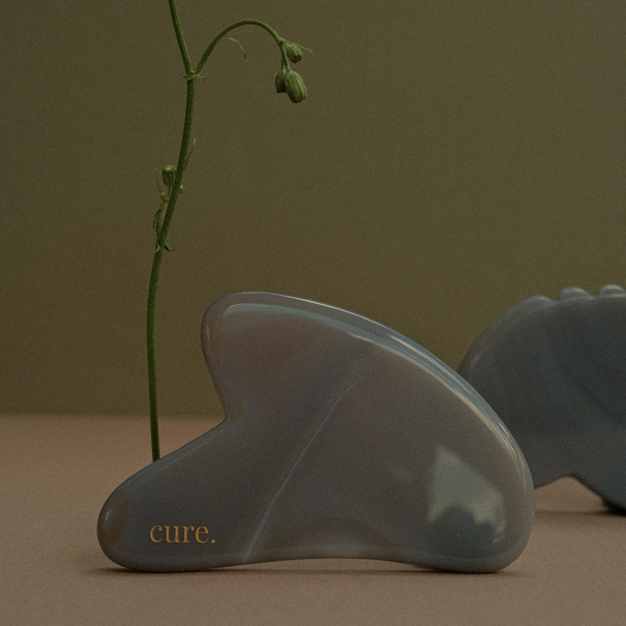 A translucent gray gua sha massage tool with the brand name 'cure.' in gold lettering, styled with a green plant stem against a warm beige background.