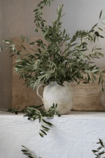 Decorative shelf with plants and ceramic items against a white wall