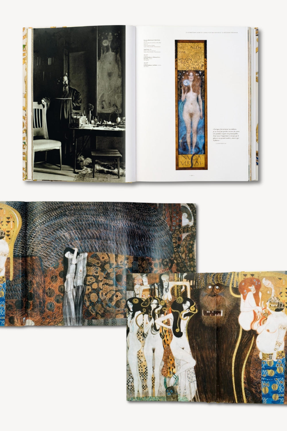 Gustav Klimt. The Complete Paintings | Oversized Art Book (English)