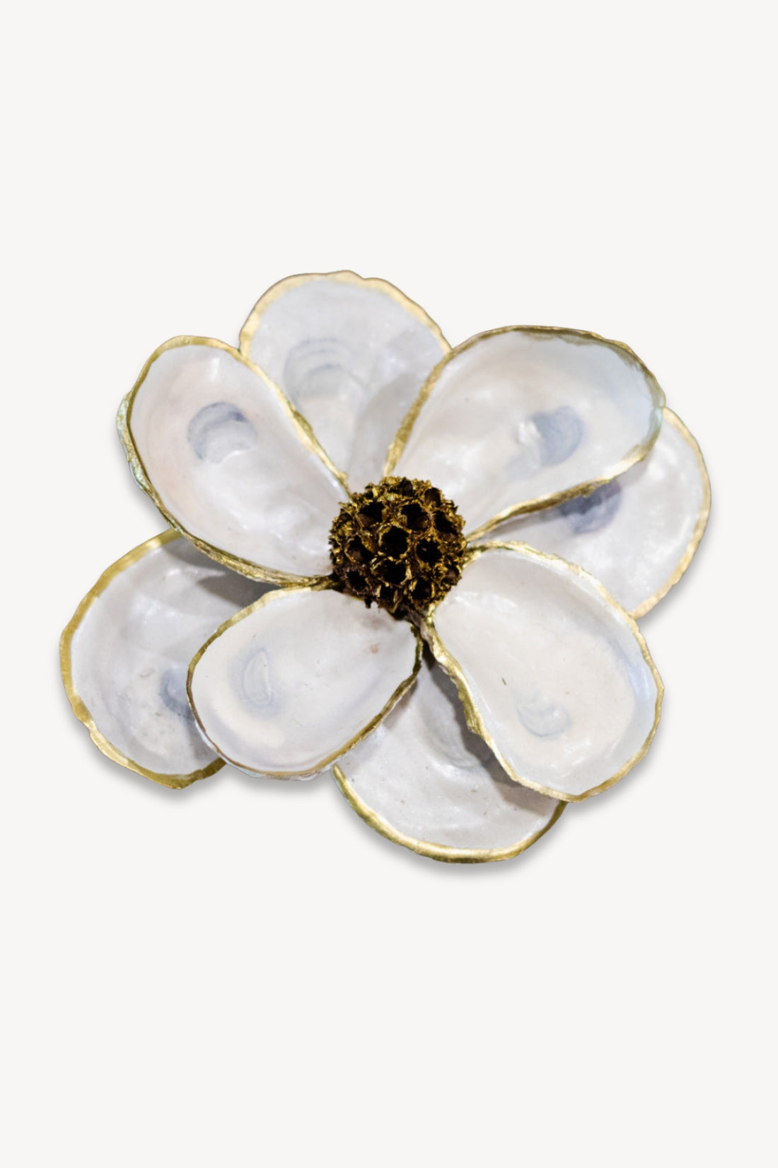 White Oyster Shell Magnolia Flower in Gift Box