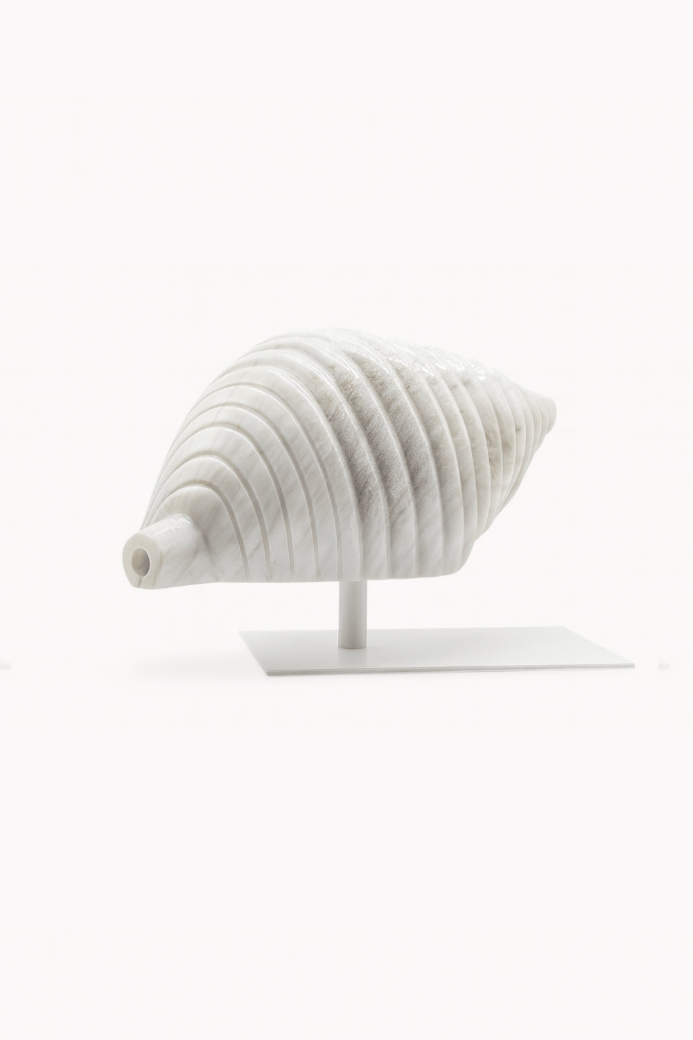 Sea Whisper Seashell Sculpture